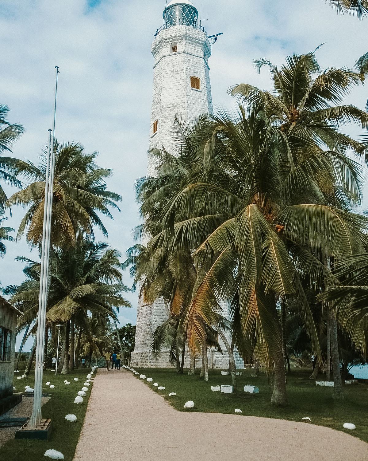Dondra Head lighthouse among palm trees