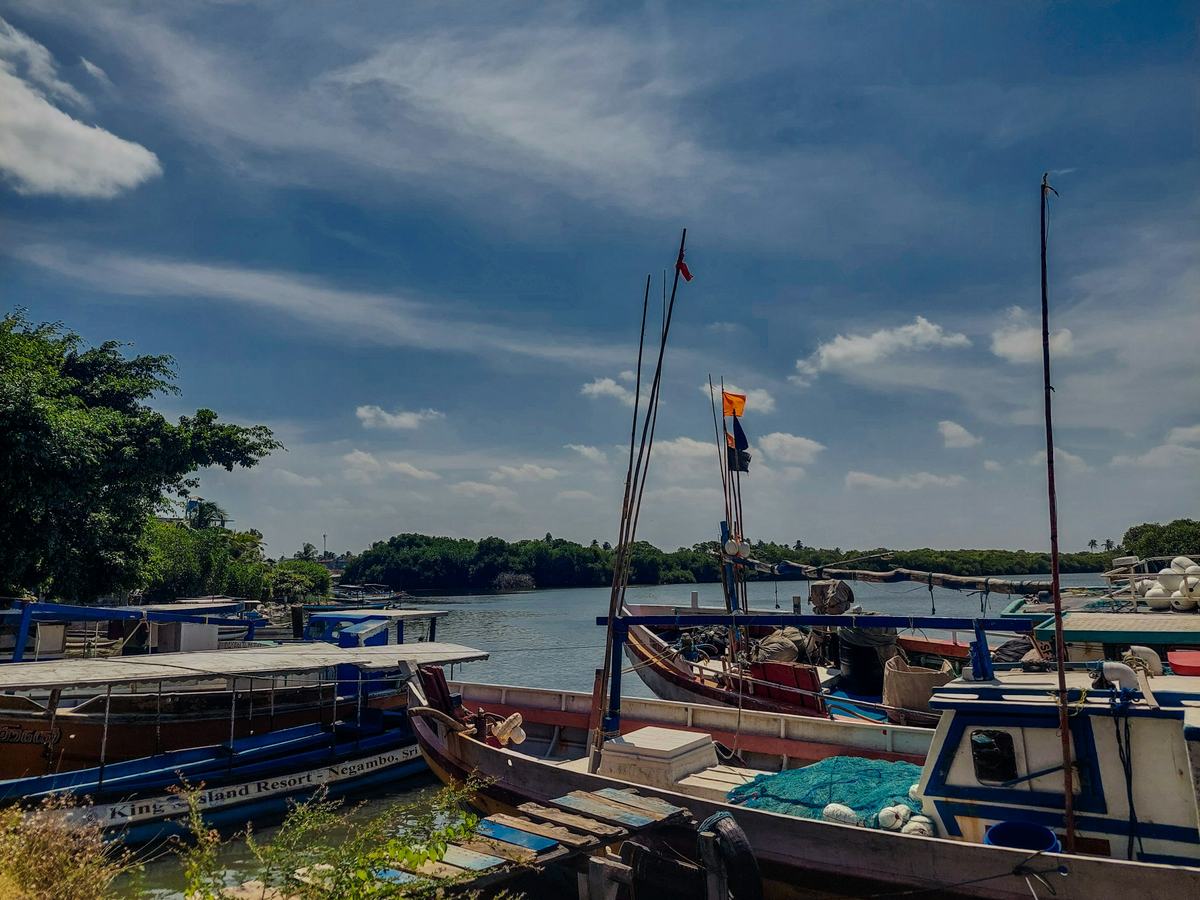 Fishing boats on Negombo lagoon